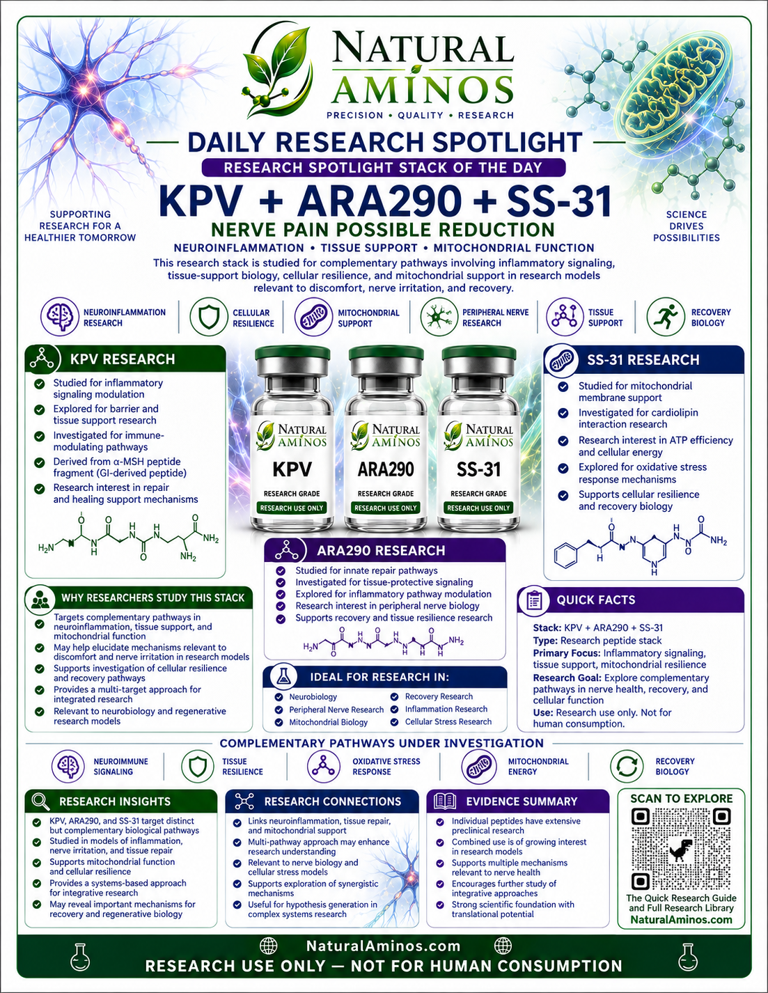 KPV + ARA-290 + SS-31 research graphic